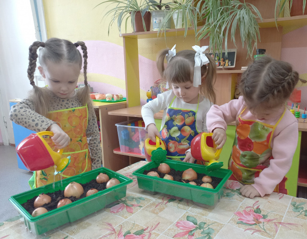 Огород на подоконнике